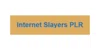 Internet Slayers PLR