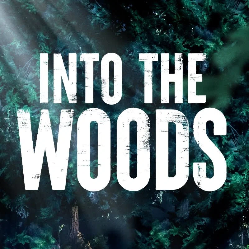 Into The Woods On Stage