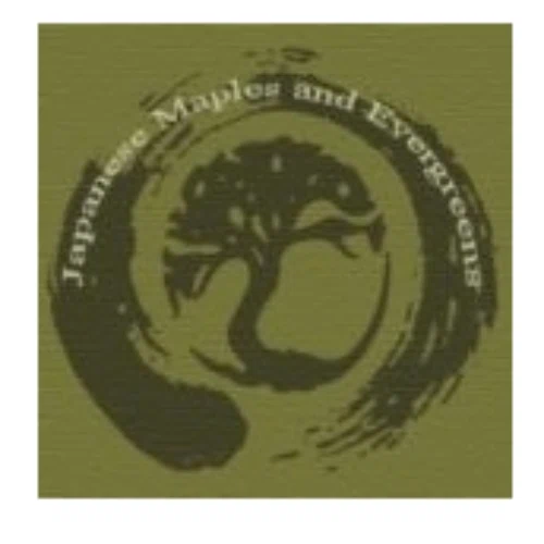 Japanese Maples and Evergreens