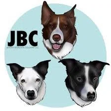 Jersey Border Collars