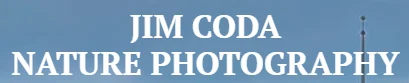 Jim Coda