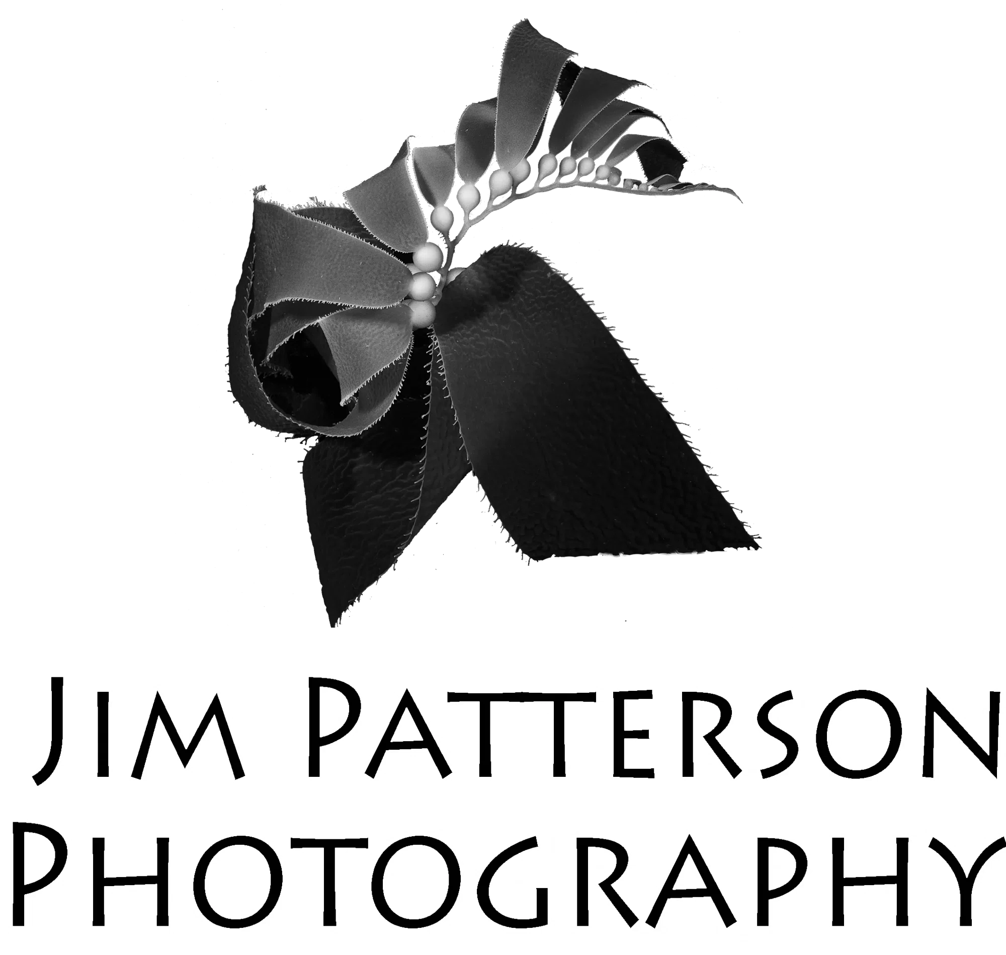 Jim Patterson Photography