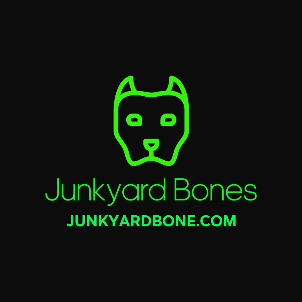 Junkyard Bone Box