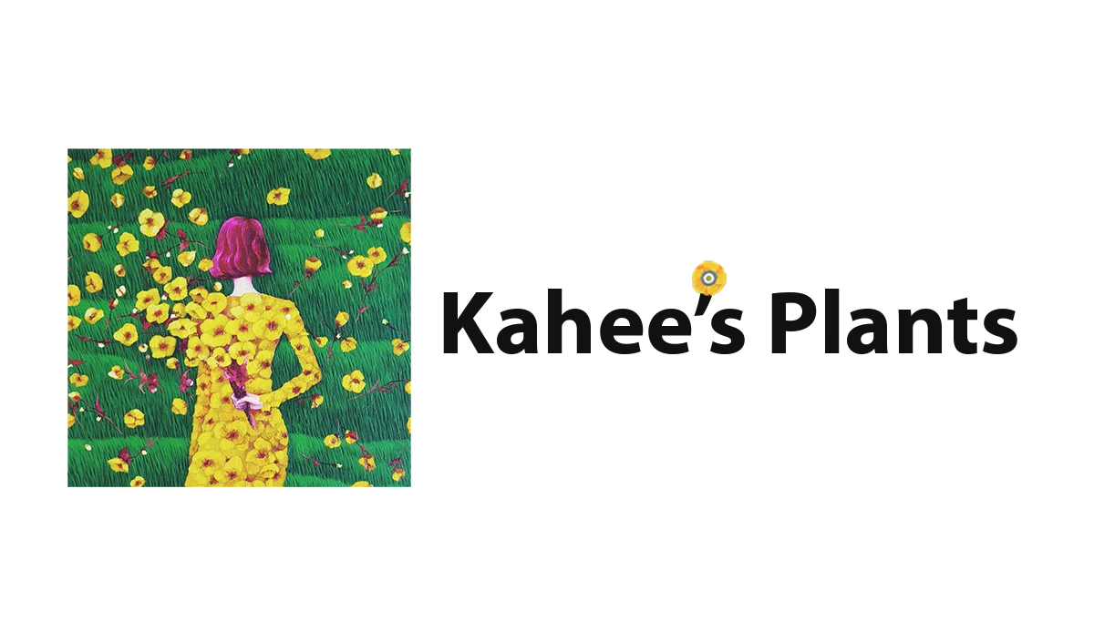 Kahee's Plants