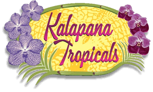 Kalapana Tropicals