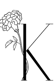 Kamli Collective