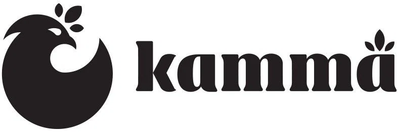 Kamma
