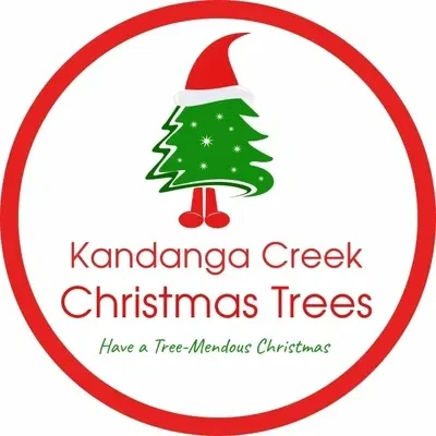 Kandanga Creek Christmas Trees