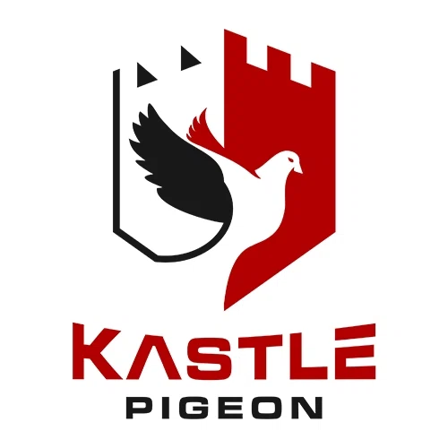 Kastle Pigeon