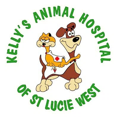 Kelly's Animal Hospital
