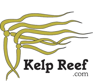 Kelp Reef Adventures