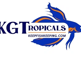 KGTropicals