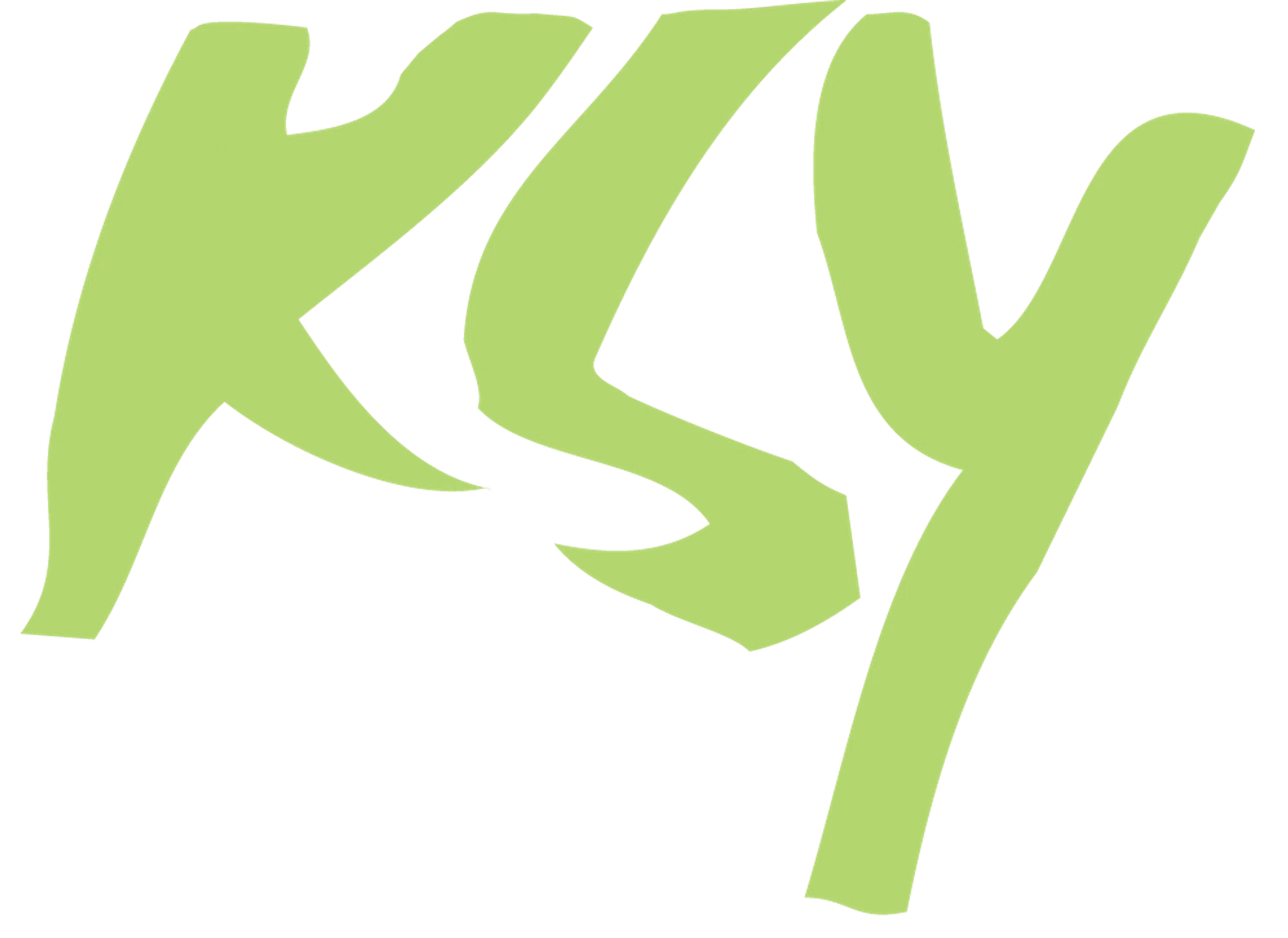 Kim Sun Young Hair Salon