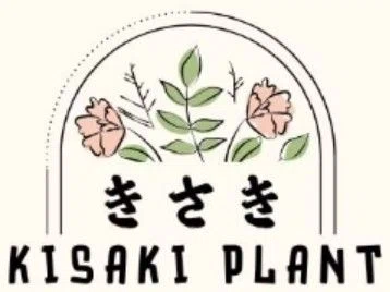 Kisaki Plant