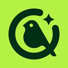 Kiwibit
