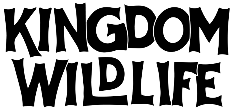 KNGDM