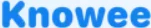 Knowee.ai