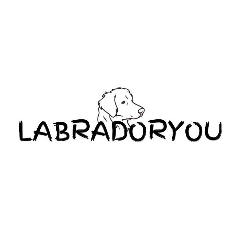 LabradorYou