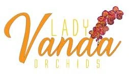 Lady Vanda Orchids