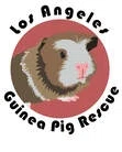 Los Angeles Guinea Pig Rescue