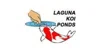 Laguna Koi