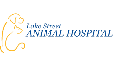 Lake Street Animal Hospital