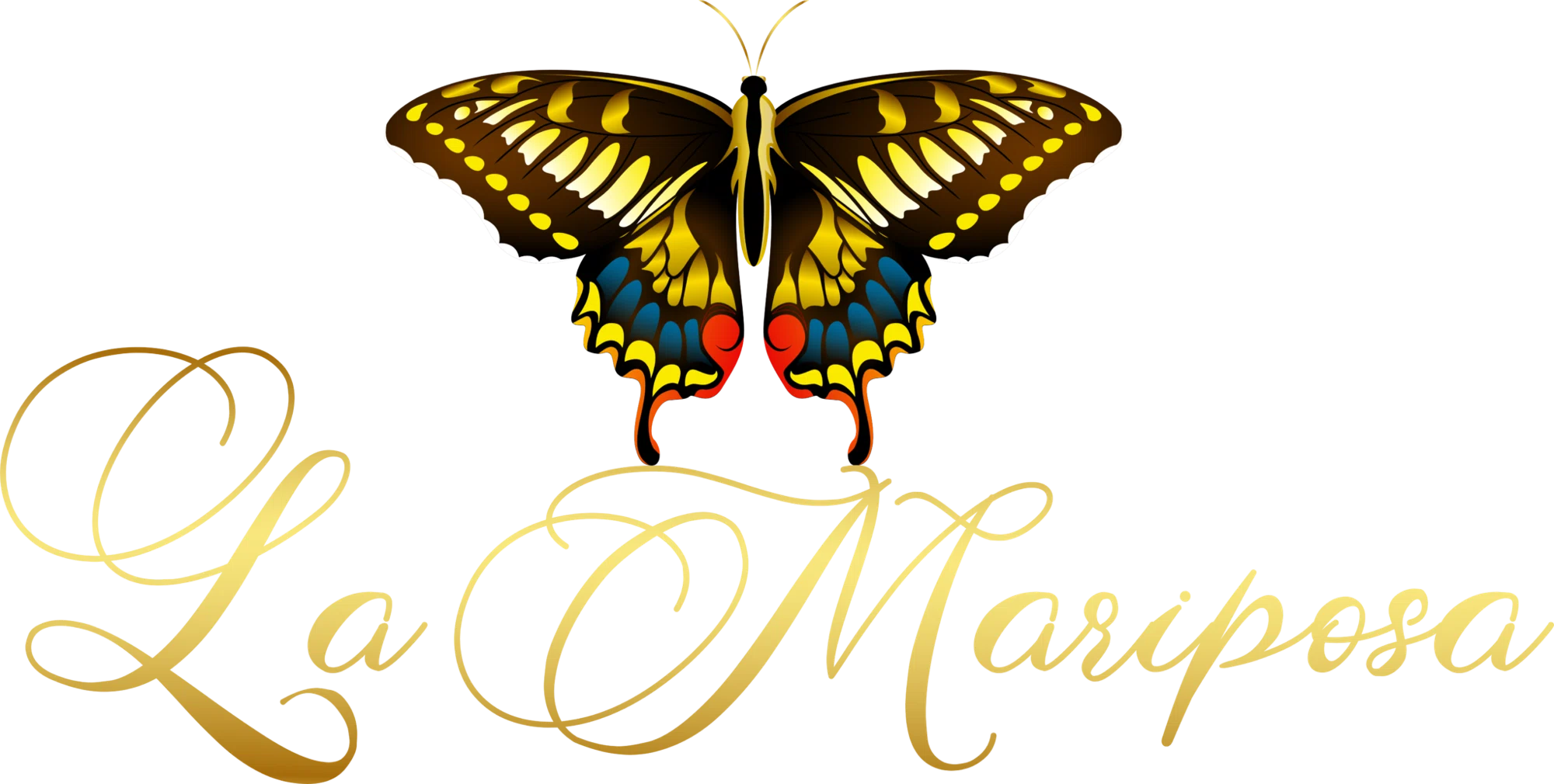 La Mariposa Hair Extensions & Wigs