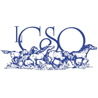 Las Colinas Symphony Orchestra