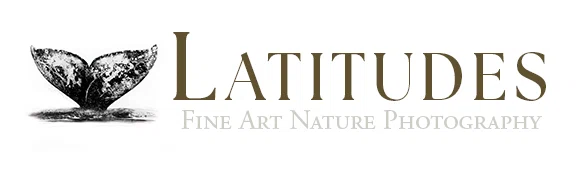 Latitudes Gallery