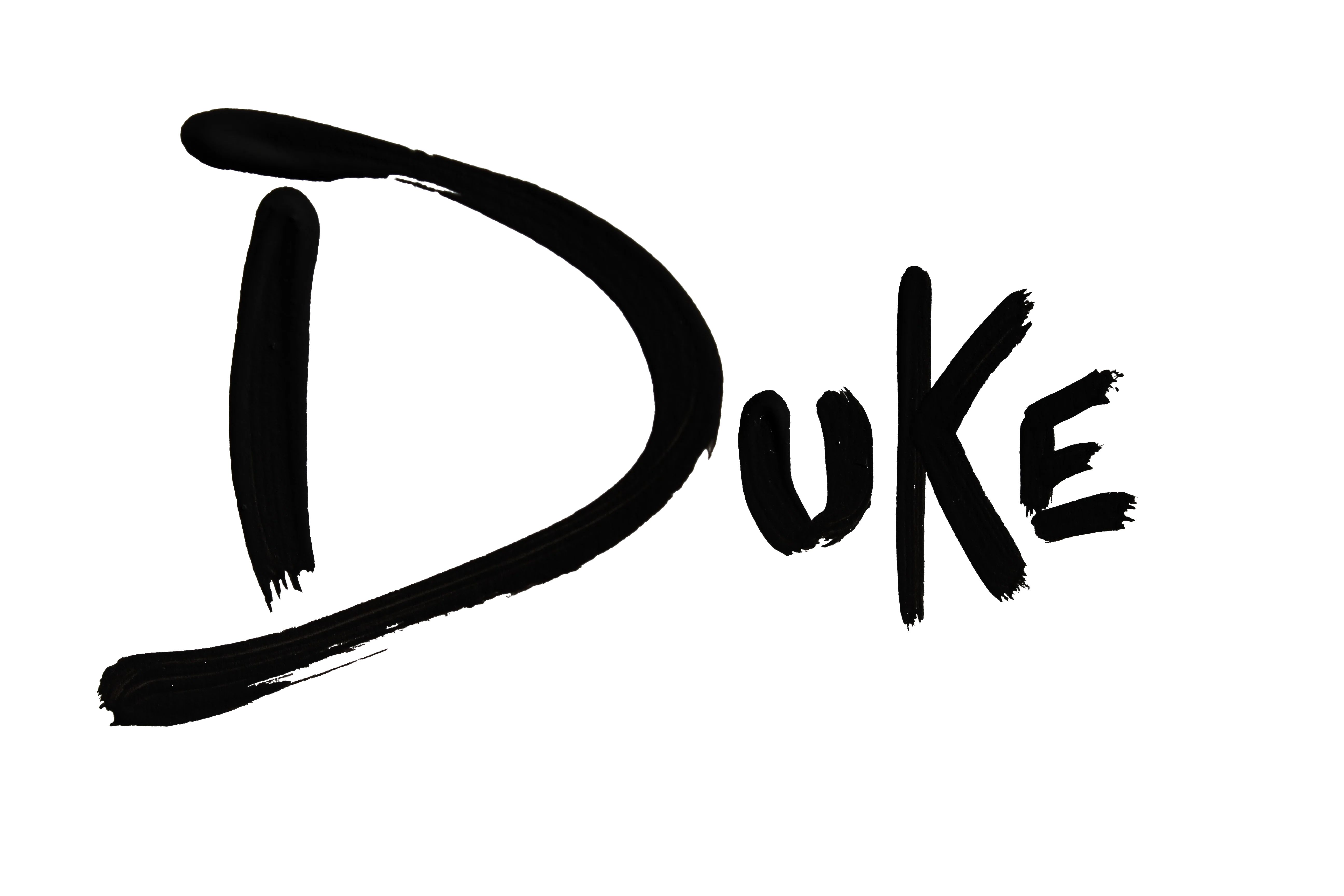 Laura Duke Fine Art