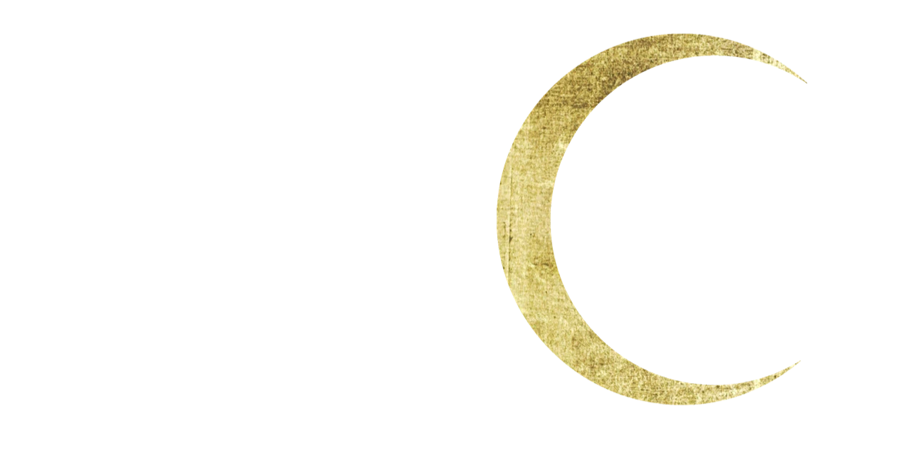 Lauren Clark Fine Art