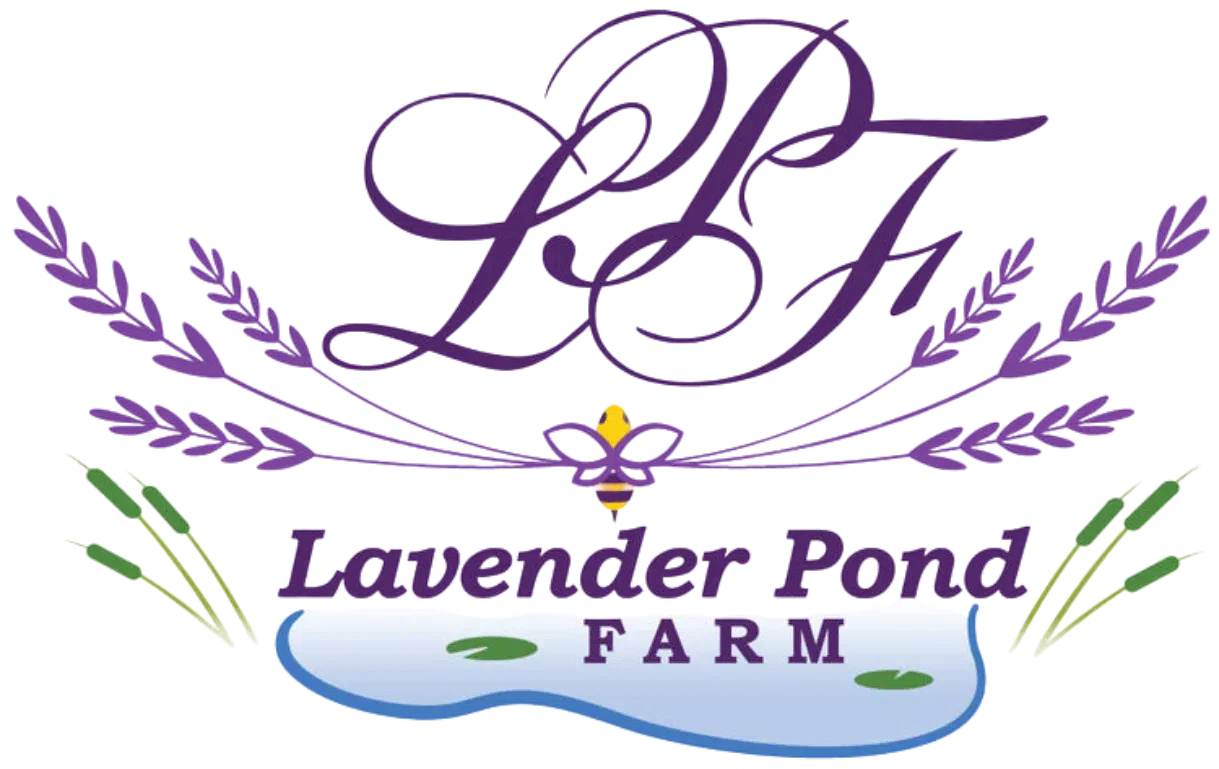 Lavender Pond Farm