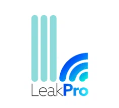 LeakPro