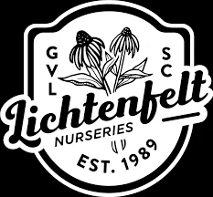 Lichtenfelt's