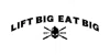 Lift Big Eat Big