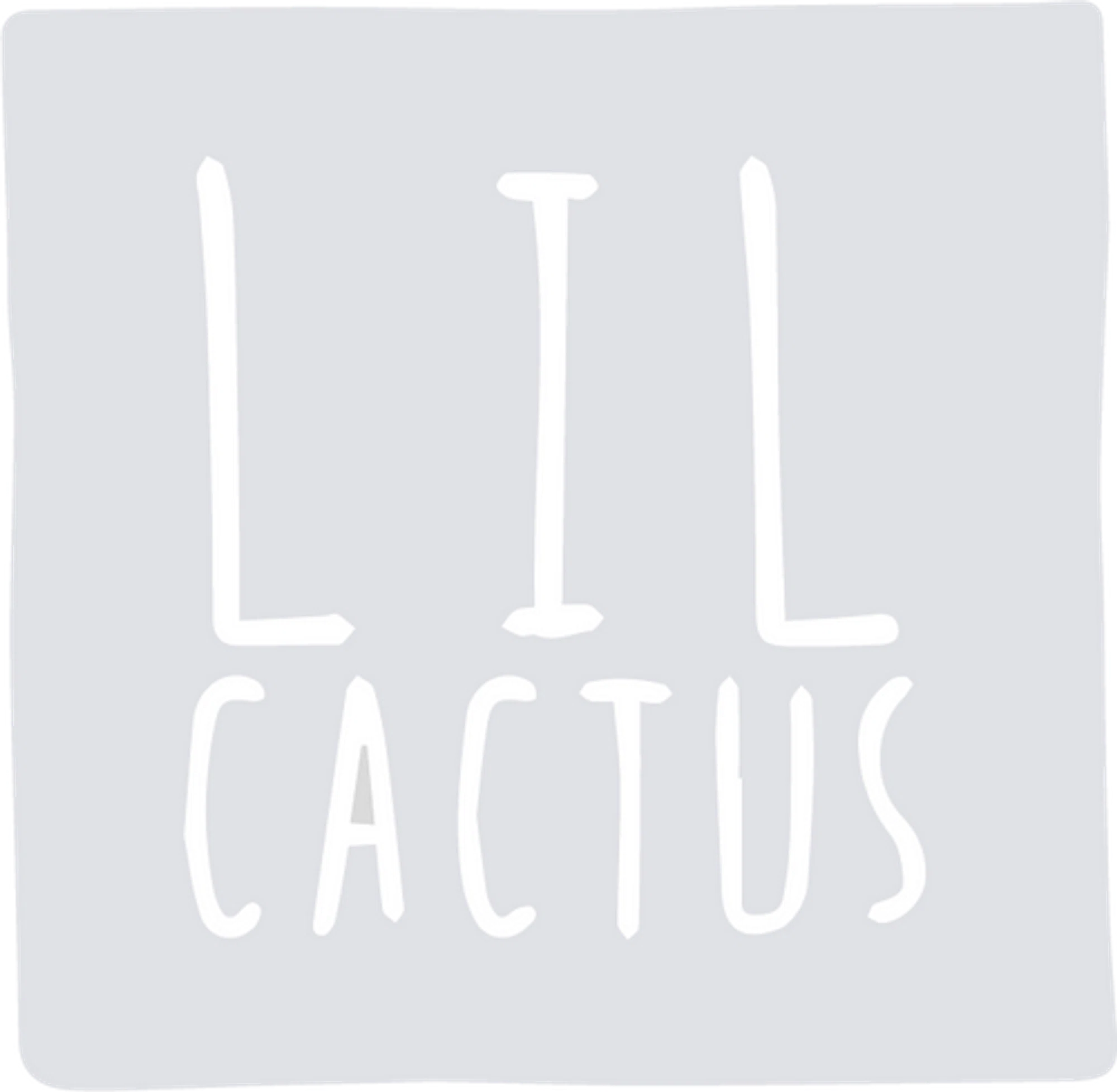 Lil cactus