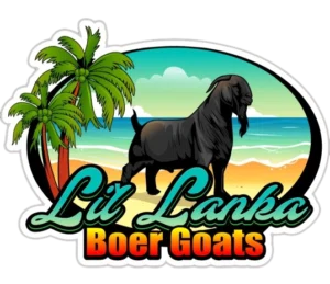 Lil Lanka Boer Goats Farm