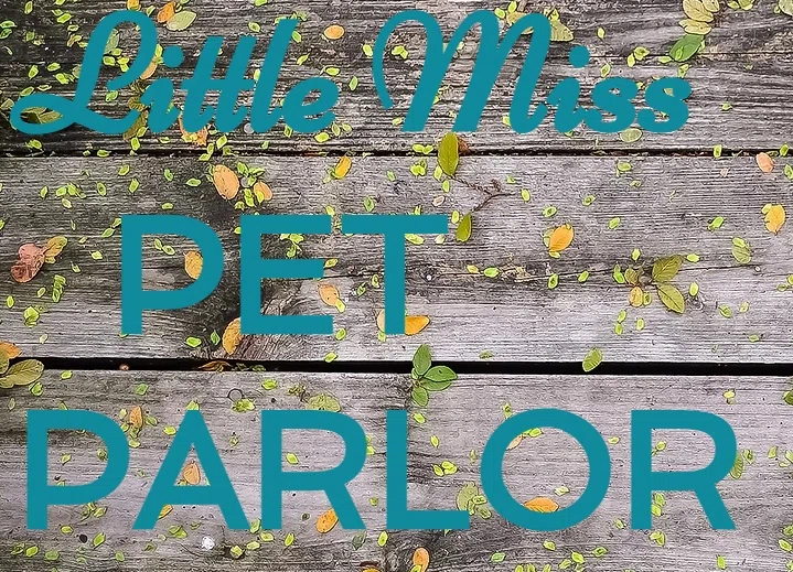 Little Miss Pet Parlor