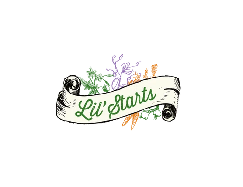 Lil Starts Farm