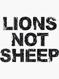 Lions Not Sheep