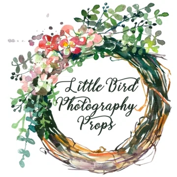 Little Bird Photography Props