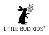 Little Bud Kids