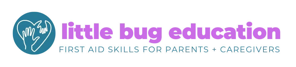 Little Bug Education