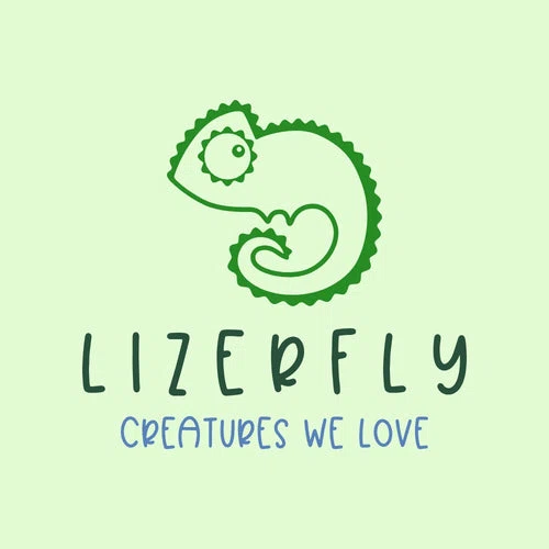Lizerfly