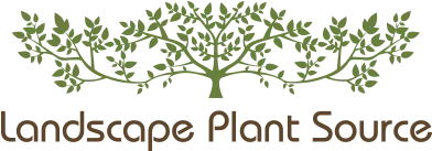 Landscape Plant Source Logo for Promo Codes