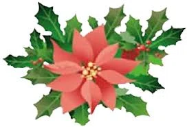 Lockwood Christmas Tree Farm