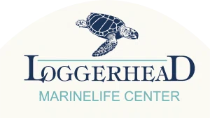 Loggerhead Marinelife Center
