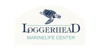 Loggerhead Marinelife Center