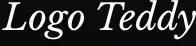 LogoTeddy