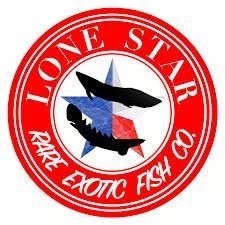 Lone Star Rare Exotic Fish Co.